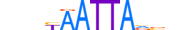 PHX2A.H14INVITRO.1.SM.B motif logo (PHOX2A gene, PHX2A_HUMAN protein)