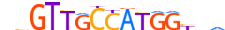 RFX1.H14INVITRO.0.PM.A motif logo (RFX1 gene, RFX1_HUMAN protein)