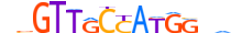 RFX3.H14INVITRO.1.PS.A motif logo (RFX3 gene, RFX3_HUMAN protein)