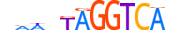 RORG.H14INVITRO.1.PS.A motif logo (RORC gene, RORG_HUMAN protein)
