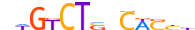SMAD4.H14INVITRO.1.P.D motif logo (SMAD4 gene, SMAD4_HUMAN protein)