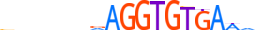 TBR1.H14INVITRO.0.PS.A motif logo (TBR1 gene, TBR1_HUMAN protein)