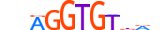 TBX2.H14INVITRO.0.SM.B motif logo (TBX2 gene, TBX2_HUMAN protein)