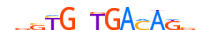 TBX20.H14INVITRO.0.P.C motif logo (TBX20 gene, TBX20_HUMAN protein)