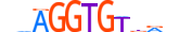 TBX3.H14INVITRO.0.PSM.A motif logo (TBX3 gene, TBX3_HUMAN protein)