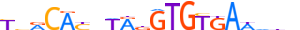 TBXT.H14INVITRO.0.PS.A motif logo (TBXT gene, TBXT_HUMAN protein)