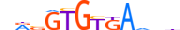 TBXT.H14INVITRO.1.PSM.A motif logo (TBXT gene, TBXT_HUMAN protein)