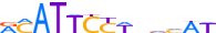 TEAD1.H14INVITRO.1.P.C motif logo (TEAD1 gene, TEAD1_HUMAN protein)
