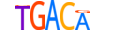TF2LX.H14INVITRO.0.SM.B motif logo (TGIF2LX gene, TF2LX_HUMAN protein)