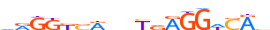 THA.H14INVITRO.0.P.B motif logo (THRA gene, THA_HUMAN protein)