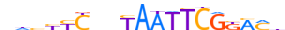 TIGD7.H14INVITRO.0.SGIB.A motif logo (TIGD7 gene, TIGD7_HUMAN protein)