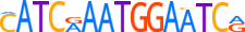 TSH2.H14INVITRO.0.SG.A motif logo (TSHZ2 gene, TSH2_HUMAN protein)