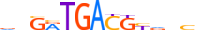 XBP1.H14INVITRO.1.M.B motif logo (XBP1 gene, XBP1_HUMAN protein)