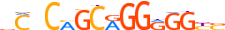 ZIC5.H14INVITRO.0.P.B motif logo (ZIC5 gene, ZIC5_HUMAN protein)