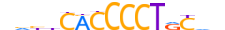 ZSC25.H14INVITRO.0.PSG.A motif logo (ZSCAN25 gene, ZSC25_HUMAN protein)
