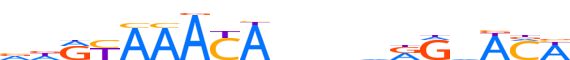 ANDR.H14INVIVO.2.P.B reverse-complement motif logo (AR gene, ANDR_HUMAN protein)