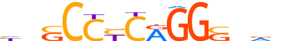 AP2A.H14INVIVO.0.PSM.A reverse-complement motif logo (TFAP2A gene, AP2A_HUMAN protein)