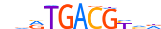 ATF1.H14INVIVO.0.P.B motif logo (ATF1 gene, ATF1_HUMAN protein)