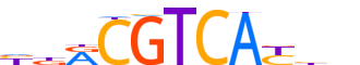 ATF1.H14INVIVO.0.P.B reverse-complement motif logo (ATF1 gene, ATF1_HUMAN protein)