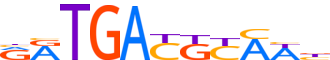 ATF3.H14INVIVO.2.P.B motif logo (ATF3 gene, ATF3_HUMAN protein)