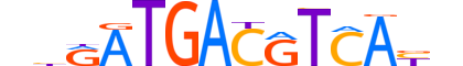 ATF3.H14INVIVO.3.SM.B motif logo (ATF3 gene, ATF3_HUMAN protein)