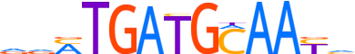 ATF4.H14INVIVO.0.P.B motif logo (ATF4 gene, ATF4_HUMAN protein)