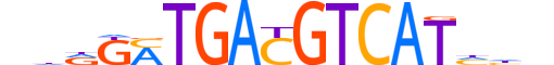 ATF4.H14INVIVO.2.SM.B motif logo (ATF4 gene, ATF4_HUMAN protein)