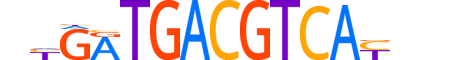 ATF6A.H14INVIVO.0.SM.D motif logo (ATF6 gene, ATF6A_HUMAN protein)