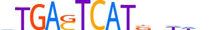 BACH2.H14INVIVO.1.SM.B motif logo (BACH2 gene, BACH2_HUMAN protein)
