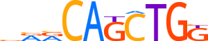BHA15.H14INVIVO.0.P.B motif logo (BHLHA15 gene, BHA15_HUMAN protein)