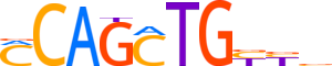 BHA15.H14INVIVO.0.P.B reverse-complement motif logo (BHLHA15 gene, BHA15_HUMAN protein)
