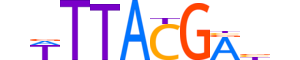 CDX2.H14INVIVO.1.M.C motif logo (CDX2 gene, CDX2_HUMAN protein)
