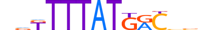 CDX4.H14INVIVO.0.S.D motif logo (CDX4 gene, CDX4_HUMAN protein)