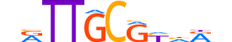 CEBPG.H14INVIVO.1.SM.B motif logo (CEBPG gene, CEBPG_HUMAN protein)
