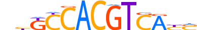 CR3L4.H14INVIVO.0.M.D reverse-complement motif logo (CREB3L4 gene, CR3L4_HUMAN protein)