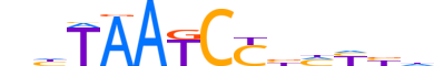 CRX.H14INVIVO.0.PSM.A reverse-complement motif logo (CRX gene, CRX_HUMAN protein)