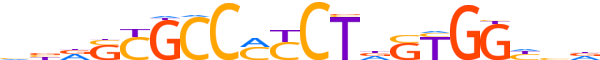 CTCF.H14INVIVO.0.P.B reverse-complement motif logo (CTCF gene, CTCF_HUMAN protein)