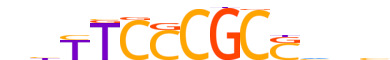 E2F4.H14INVIVO.1.P.B reverse-complement motif logo (E2F4 gene, E2F4_HUMAN protein)
