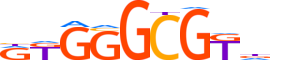 EGR4.H14INVIVO.0.S.D motif logo (EGR4 gene, EGR4_HUMAN protein)