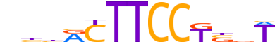 ELF3.H14INVIVO.1.PM.A reverse-complement motif logo (ELF3 gene, ELF3_HUMAN protein)