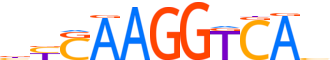 ERR3.H14INVIVO.0.PSM.A motif logo (ESRRG gene, ERR3_HUMAN protein)