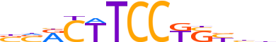 ETS1.H14INVIVO.1.P.B reverse-complement motif logo (ETS1 gene, ETS1_HUMAN protein)