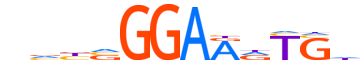 ETS2.H14INVIVO.1.P.B motif logo (ETS2 gene, ETS2_HUMAN protein)
