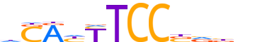 ETS2.H14INVIVO.1.P.B reverse-complement motif logo (ETS2 gene, ETS2_HUMAN protein)