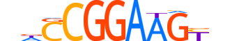 ETV5.H14INVIVO.0.PS.A motif logo (ETV5 gene, ETV5_HUMAN protein)