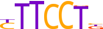 ETV7.H14INVIVO.1.P.C reverse-complement motif logo (ETV7 gene, ETV7_HUMAN protein)