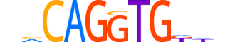 FIGLA.H14INVIVO.0.SM.D reverse-complement motif logo (FIGLA gene, FIGLA_HUMAN protein)