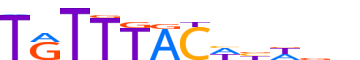 FOXA1.H14INVIVO.0.P.B motif logo (FOXA1 gene, FOXA1_HUMAN protein)