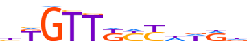 FOXJ2.H14INVIVO.0.PSM.A motif logo (FOXJ2 gene, FOXJ2_HUMAN protein)