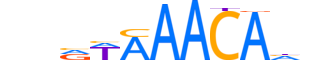 FOXO4.H14INVIVO.0.SM.D reverse-complement motif logo (FOXO4 gene, FOXO4_HUMAN protein)